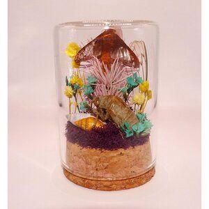 Orange Tipped Oakworm Moth Cicada Skin Dried Flowers Oddity Jar taxidermy witchy